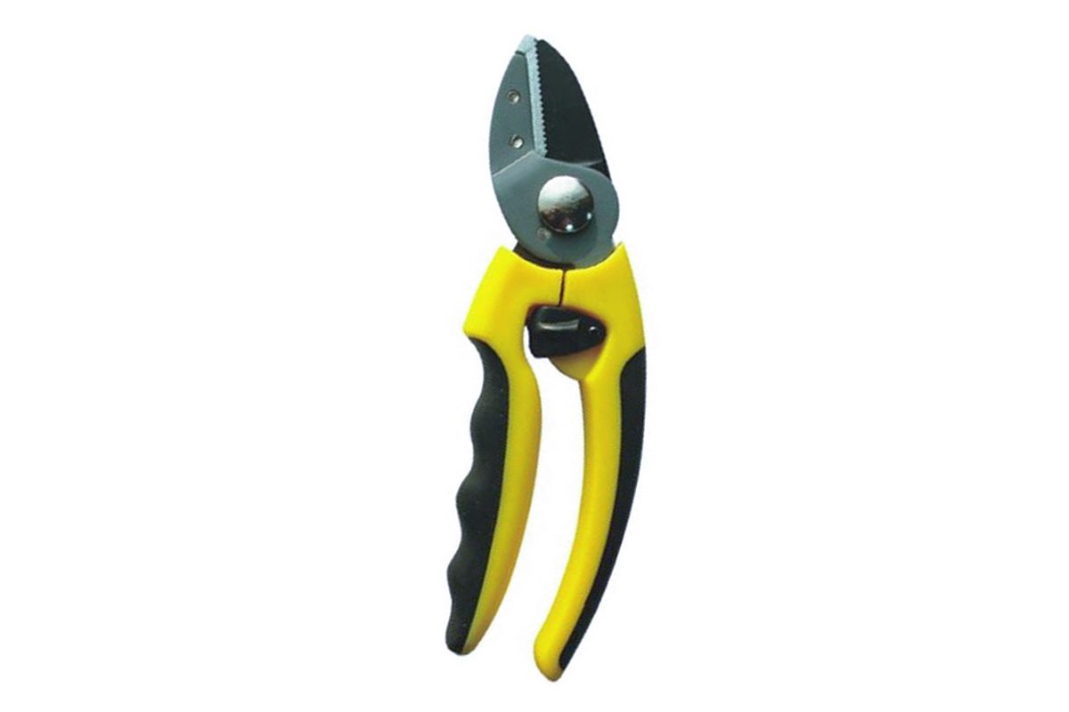 Kéo tỉa cành cây 8